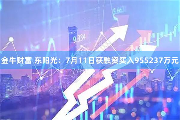 金牛财富 东阳光:7月11日获融资买入955237万元